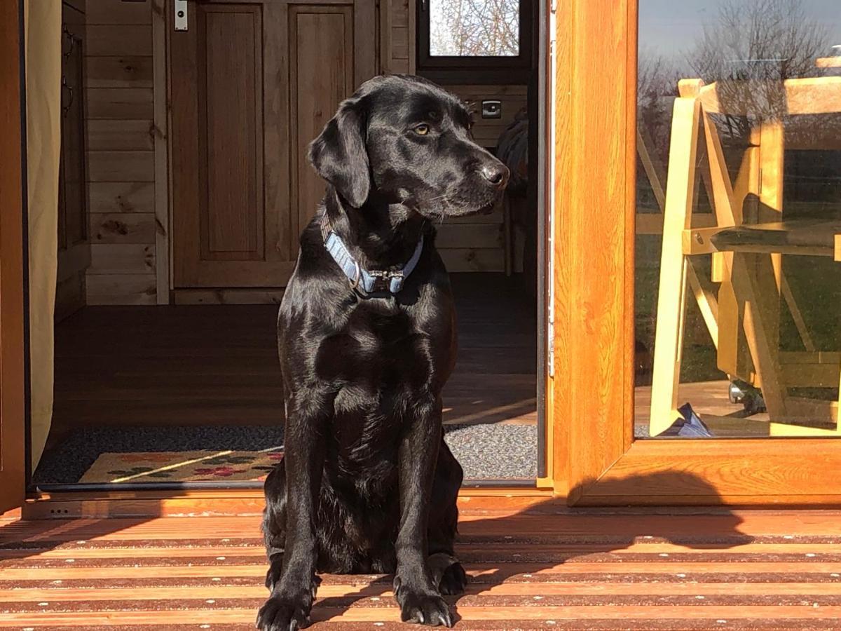 Manor Farm Stay Sutton-on-Sea Esterno foto