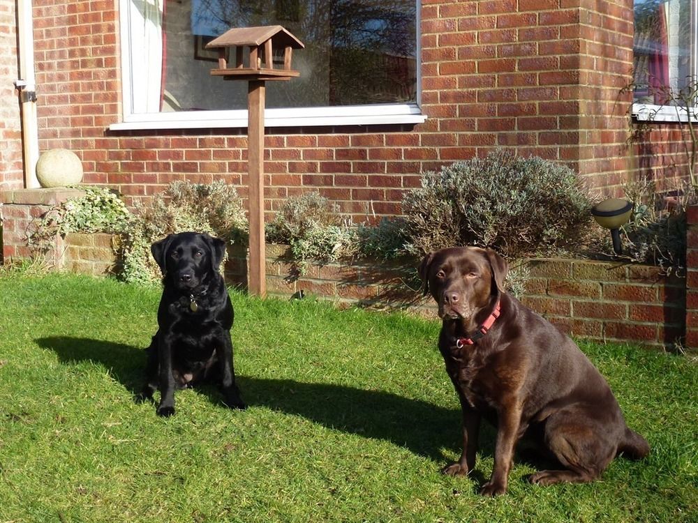 Manor Farm Stay Sutton-on-Sea Esterno foto