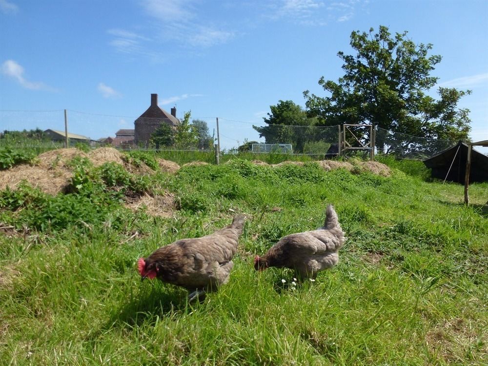 Manor Farm Stay Sutton-on-Sea Esterno foto
