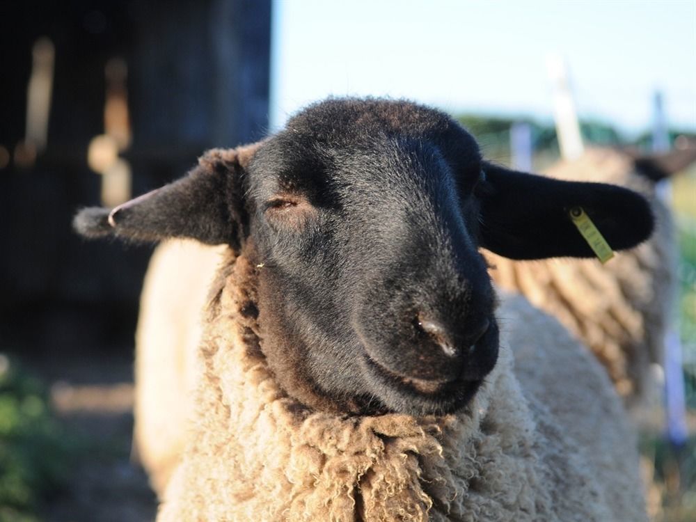 Manor Farm Stay Sutton-on-Sea Esterno foto